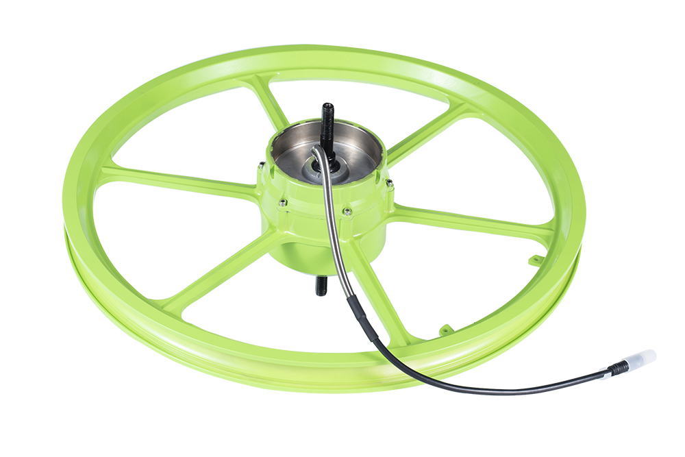 P100系列輪轂電機(jī)